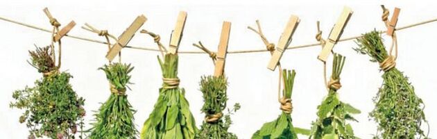 Prostatitisaren aurkako belar eraginkorrak